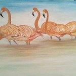 THE FLAMINGOS By Geary Jones