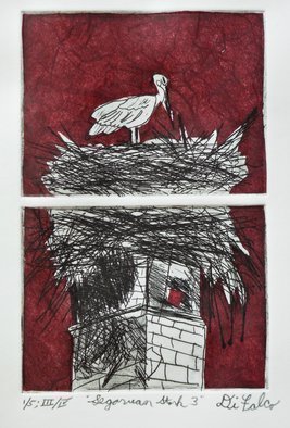 Jerry  Di Falco: 'stork in segovia three', 2018 Etching, Birds. THIS ORIGINAL DIFALCO ETCHING IS SOLD ALREADY FRAMED UNDER GLASS AND MATTED IN AN ACID FREE, WHITE MAT.  THE 14 INCH HIGH BY 11 INCH WIDE FRAME IS COMPOSED OF BLACK PAINTED WOOD, AND IS WIRED AND READY TO HANG.  Note that the detail image is actually print number three ...