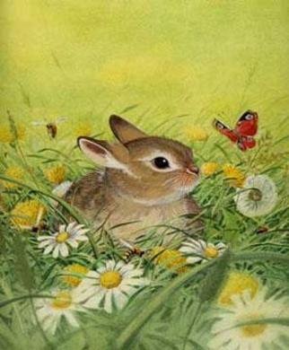 Bernhard Oberdieck: 'Little rabbit', 2005 Illustration, Animals. Children's book illustration...