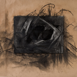 Marcia Freedman: 'Connecting Places', 2007 Charcoal Drawing, Abstract. Artist Description:  Connecting Places is an abstract drawing whose imagery is informed by organic forms found within the body....