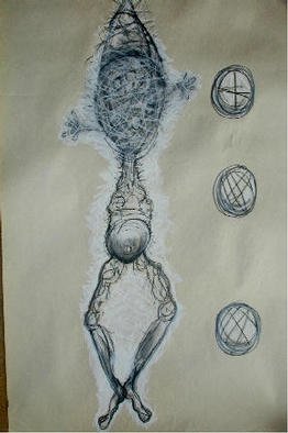 Gregory Gobla: 'evolution', 2003 Charcoal Drawing, Representational. 