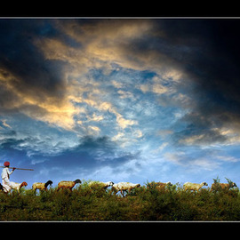 Shepherd By Gurdas Dua Fiipc Fbaf Hon.apasp