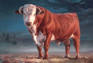 Hans Droog: 'Hereford Bull', 2011 Oil Painting, Cows.  A Missouri raised Hereford Bull portrait in a landscape ...