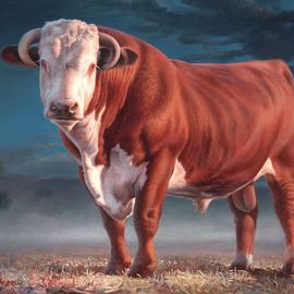 Hans Droog: 'Hereford Bull', 2011 Oil Painting, Cows. Artist Description:  A Missouri raised Hereford Bull portrait in a landscape ...
