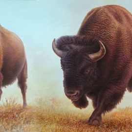 Hans Droog: 'buffaloes', 2020 Oil Painting, Animals. Artist Description: Yellowstone Park two panel scene with two buffaloes. ...