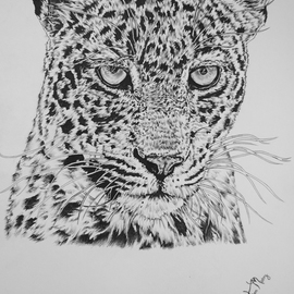 Hiten Mistry Artwork leopard, 2014 Other Drawing, Animals