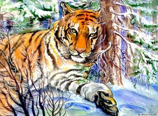 Igor Moshkin: 'tiger in the winter forest', 2002 Watercolor, Wildlife. Artist Description: watercolor, paper, wildlife, green and blue,  Tiger in the winter forest winter, forest, orange tiger, wild cat...