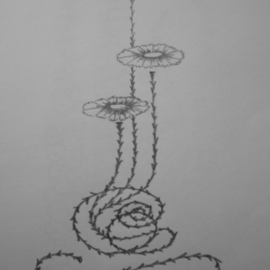 Eve Co: 'Morning Glory Bud Trio', 2010 Pencil Drawing, Botanical. Artist Description:  Graphite Sketch  ...