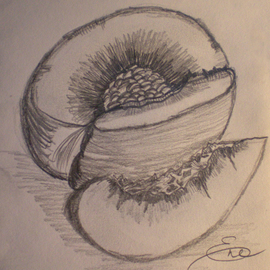 Eve Co: 'Peach', 2009 Pencil Drawing, Still Life. Artist Description:      A Peach- Closeup drawing study in a sketchbook - Not for Sale - I am still sketching in this 