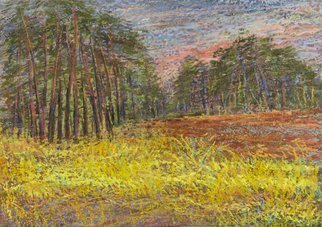 Irina Maiboroda: 'Pine Forest', 2012 Pastel, Landscape.  landscape, abstract, imaginary, impression, colorful, forest, pine, plein airThe work is shipped with a passe- partout 40x30 cm           ...