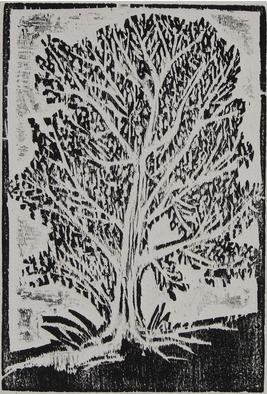 Tamara Sorkin: 'young olive tree', 2007 Woodcut, Trees.  This is a young olive tree from my olive grove, that was used as a logo for my olive oil press ...
