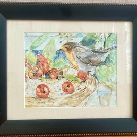 Jacqueline Weegels: 'Berry Lunch original watercolor', 2023 Watercolor, Wildlife. Artist Description: A robin visiting one of my bird bowls for a berry lunch. ...