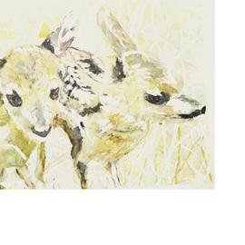 Jacqueline Weegels: 'Two deer', 2004 Giclee, Animals. Artist Description: Original sold. 1 print sold. A friend of mine took this picture 19 years ago in 1985 and I have kept it for all this time, vowing to, one day, paint it.  I finally did! It' s available as a set of two, where the picture is divided ...