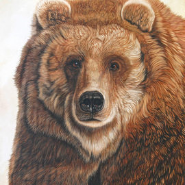 Jacquie Vaux: 'Old Grizz   Male Grizzly Bear', 2013 Other Painting, Animals. Artist Description:  This old Grizzly Bear is just lookin'around for some food. Grizzly Bears just love to eat. . . LOTS! ...