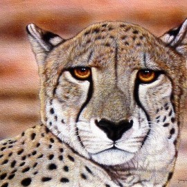 Jacquie Vaux: 'Portrait of a Cheetah', 2011 Giclee, Animals. Artist Description:  A Giclee print on Canvas. . . Looks just like the Original! ! ...