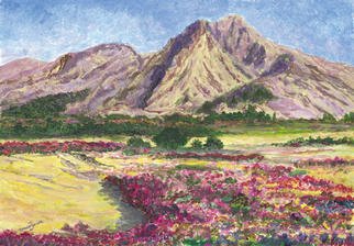 James Parker: 'Flower Mountain Meadow', 2003 Acrylic Painting, Landscape. Softly colorful landscape with a sense of    calm and power in the distant mountains....