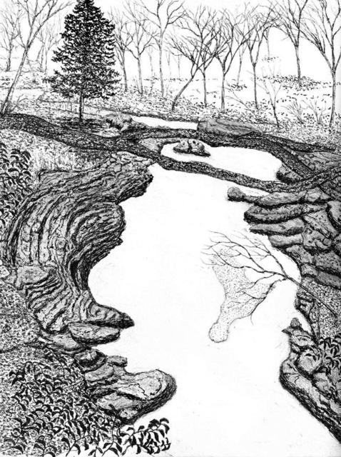 Artist James Parker. 'NC Small Gorge' Artwork Image, Created in 2002, Original Drawing Pen. #art #artist