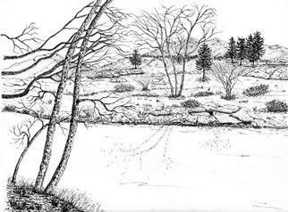 James Parker: 'Stream and Trees', 2002 Pen Drawing, Landscape. A nice quiet scene in black and white...