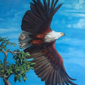 Janet Page: 'AFRICAN FISH EAGLE TAKES FLIGHT', 2014 Oil Painting, Birds. Artist Description:  AFRICAN FISH EAGLE, FISH EAGLE, BIRD OF PREY, ...
