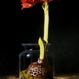 Jan Teunissen: 'amaryllis in glass jar', 2018 Oil Painting, Still Life. Artist Description: flower glass Amaryllis...