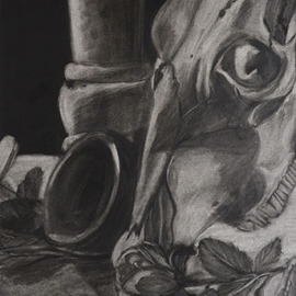 Jamie Boyatsis: 'Skull Still Life', 2013 Charcoal Drawing, Still Life. 