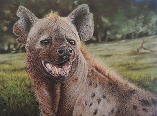 Artist: Jeff Cain - Title: Spotted hyena  - Medium: Acrylic Painting - Year: 2020