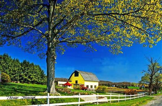 Thomas Jewusiak  'American Country Barn', created in 2007, Original Painting Oil.