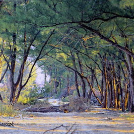 Thomas Jewusiak: 'Beach Woods 2', 2006 Oil Painting, Landscape. Artist Description:  This scene was inspired by the many wooded beaches that once existed on the Atlantic coast of Florida. Available also as a unique oil embellished archival giclee on canvas limitededition, signed and numbered ...