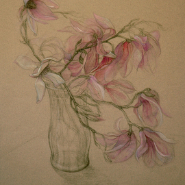 Judith Fritchman: 'Magnolia Magic', 2007 Pastel, Floral. Artist Description:  Pink and white Magnolia blossoms in pastel and conte pencil on tan paper. ...