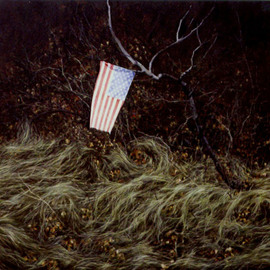 James Gwynne: 'Landscape with Flag', 1996 Oil Painting, Landscape. Artist Description: Apatriotic gesture by someone. . .  tying afaded little flag to a branch in the woods...