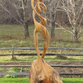 John Clarke: 'Double Helix', 2008 Wood Sculpture, Abstract Figurative. Artist Description:  Black cherry burl ...