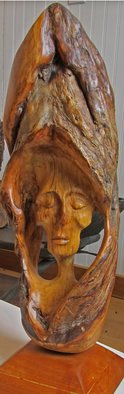 John Clarke: 'sleeper', 2006 Wood Sculpture, Abstract Figurative. A sleeping dreamer rests within a black cherry burl...