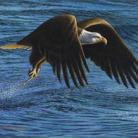 James Hildebrand: 'Catch of the Day', 2016 Oil Painting, Wildlife. Artist Description: Bald Eagle fishing...