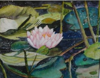 Joanna Batherson: 'waterlilies', 2015 Watercolor, Floral. 