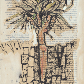 John Douglas: 'dragon blood tree', 2015 Ink Drawing, Trees. Artist Description: Dragon blood tree, darling Point, Sydney Australia.Ink, gouache, aquarelle pencils on a book page on Roman History. From life. ...