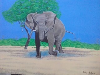 Phillip Matthews: 'charging', 2023 Acrylic Painting, Wildlife. Original acrylic painting of canvas of an African elephant charging. ...