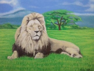 Phillip Matthews: 'the lion king', 2023 Acrylic Painting, Wildlife. Majestic pose of the King of the jungle. ...
