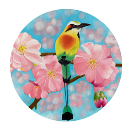 Kalpana  Dhiman Sharma: 'mot mot bird', 2021 Acrylic Painting, Birds. Artist Description:  Mot Mot bird Painting, Original Artwork, Acrylic colours, Round canvas, Wall Art , 12 x 12 inches, gift, interior design, floral, home decor, cherry blossom. ...