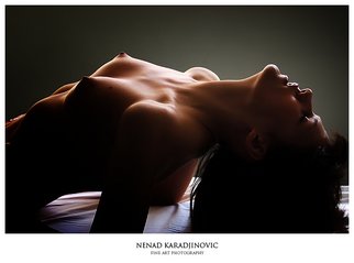 Artist: Nenad Karadjinovic - Title: No : 05 - Medium: Color Photograph - Year: 2009