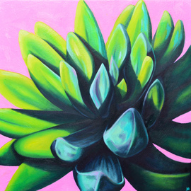 succulent no1 By Kate Revill