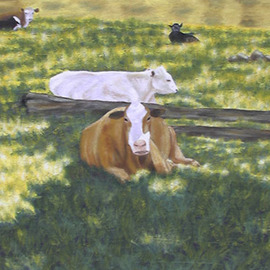 Sunol Cows, Kathleen Mcmahon