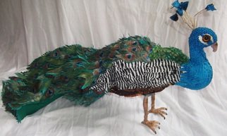 Kelly Castello: 'The Blue Peacock', 2015 Mixed Media Sculpture, Flight.   Sculpture textile peacock, 100% made by hand.Embroidered ornamental Peacock, wireframe, all the feathers are painted by hand with pigments.peacock waterproofed...