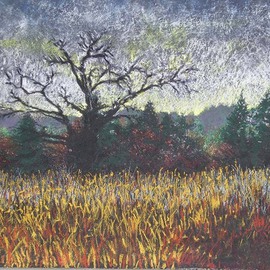 Ken Hillberry: 'October Evening', 2005 Pastel, Landscape. Artist Description:  The medium of pastel worked on board opens a unique working surface and result.  ...