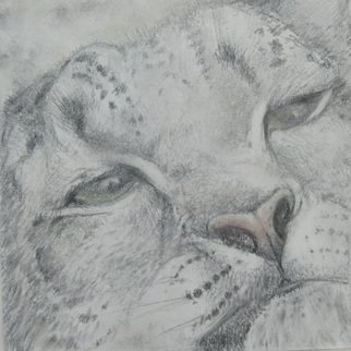 Artist: Ken Hillberry - Title: Snow Leopard - Medium: Mixed Media - Year: 2010