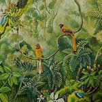 Malabar Trogons in the forest By Meenakshi Subramaniam