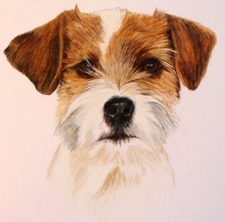 Diane Kopczeski: 'Benny', 2009 Pencil Drawing, Dogs.  Colored pencil drawing, done from a photo. ...