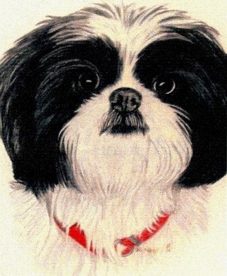 Diane Kopczeski: 'Missy', 2010 Pencil Drawing, Dogs.       Colored pencil drawing, done from your photo.      ...