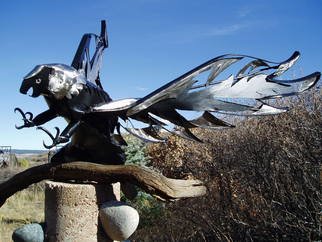 Ivan Kosta: 'The Eagle is Landing', 2010 Steel Sculpture, Birds.  An over - life size bald eagle, fabricated of stainless steel and powder coated steel, with a dramatic display of the typical ferocious look and claws.   ...
