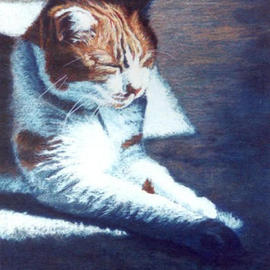 Kay Ridge: 'Kitty Bliss III', 2003 Pastel, Animals. Artist Description: This 