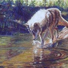 Kay Ridge: 'Wolf Quest', 1998 Reproduction Artwork, Wildlife. Artist Description: The wolf in this painting is on a protected reserve and provided me with a resource to paint a different perspective than is usually depicted of wolves. A fish has just surfaced and he is curious and very dog- like in his posture of this painting.   ...